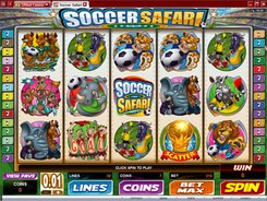 Soccer Safari